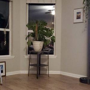 Meet your Posher, Lynn